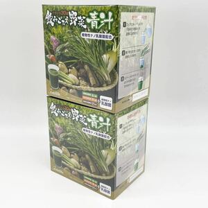 飲みごたえ野菜青汁 60包 (3g×60包)×2箱 エバーライフ t18