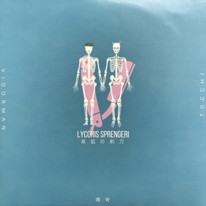 【コピス吉祥寺】唾奇/LYCORIS SPRENGERI FEAT.VIGORMAN&TOCCHI(HT0005)