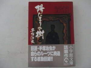 B・コミック・陽だまりの樹1巻・手塚治虫・2008年再版・小学館・送料無料