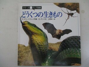 図鑑・どうくつの生きもの・F.グリーナウェイ：写真、C.グンジ：文、上野俊一：訳・1994年・岩波書店