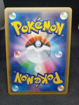 【大量出品中 正規品】 ポケモンカード　 ミニスカートのおすすめ 289/XY-P　ジムプロモ　Buyee　OK 歓迎　_画像6