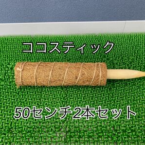 ココスティック棒　50センチ2本セット