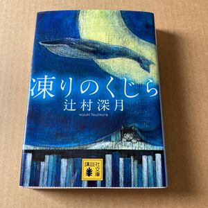 凍りのくじら （講談社文庫　つ２８－５） 辻村深月／〔著〕