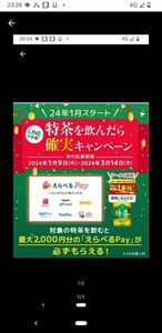 サントリー　特茶　絶対もらえる　えらべるPay キャンペーンシール　応募シール　24枚