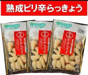 宮崎のお漬物】熟成・ピリ辛らっきょう（甘酢漬）80g 3袋　唐辛子のピリ辛