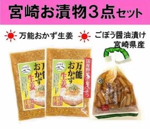 【宮崎のお漬物】万能おかずしょうが2袋 ごぼう醤油漬け1袋 3点セット