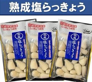 【宮崎のお漬物】熟成・塩らっきょう（塩漬け）90g 3袋 上沖産業さっぱり塩味