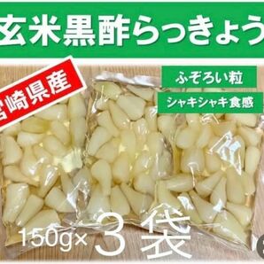 【宮崎のお漬物】玄米黒酢らっきょう150ｇ　3袋　らっきょう出荷日本一人気の一品