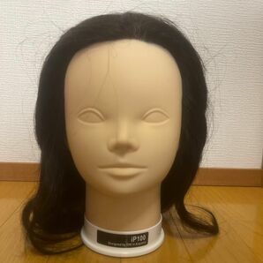 ウィッグIP100 理容師美容師練習用 カットウィッグ