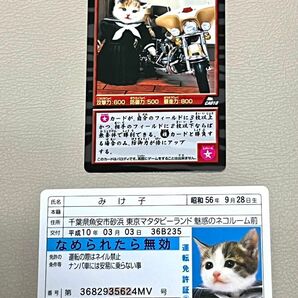 希少　なめ猫カード　なめんなよ　免許証　昭和　レトロ　パロディ