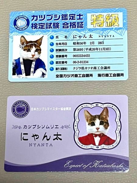 希少　なめ猫カード　なめんなよ　昭和　レトロ　パロディ