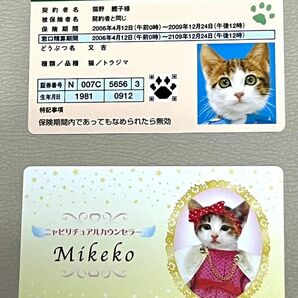 希少　なめ猫カード　なめんなよ　昭和　レトロ　パロディ