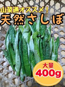 【山菜通イチオシ】天然さしぼ　400g