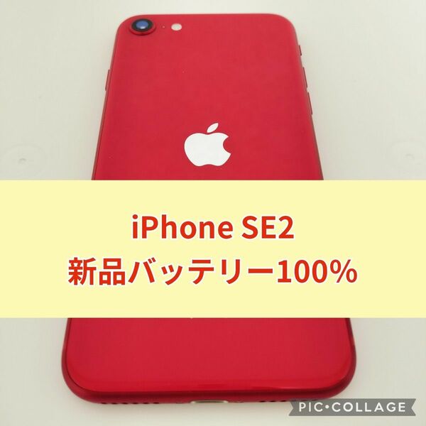 新品バッテリー iPhone SE 第2世代 64GB （PRODUCT）RED SIMフリー 