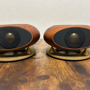 TANNOY ST-200の画像7