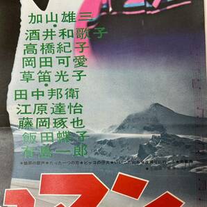 13 フレッシュマン 若大将 映画ポスター 加山雄三 田中邦衛 酒井和歌子 大矢茂 当時物 ポスター コレクションの画像8