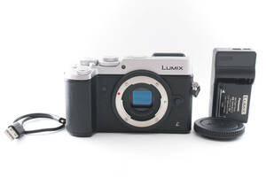 PANASONIC LUMIX DMC-GX8