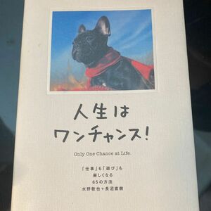 人生はワンチャンス！　「仕事」も「遊び」も楽しくなる６５の方法 水野敬也／著　長沼直樹／著