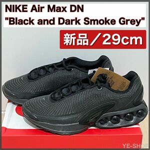 【新品29cm】Nike Air Max DN "Black and Dark Smoke Grey" ナイキ エアマックス 
