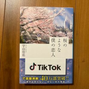 桜のような僕の恋人 （集英社文庫　う２３－２） 宇山佳佑／著