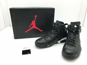 【TAG・ジャンク品】☆NIKE 384664-020 AIR JORDAN 6 RETRO BLACK CAT 29.0㎝ 観賞用☆208-240416-SS-08-TAG