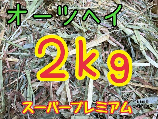 オーツヘイ　スーパープレミアム　新入荷　２Kg