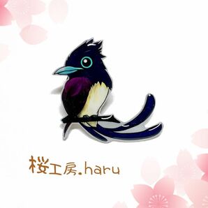 サンコウチョウ　ピンバッジ　野鳥ピンバッジ