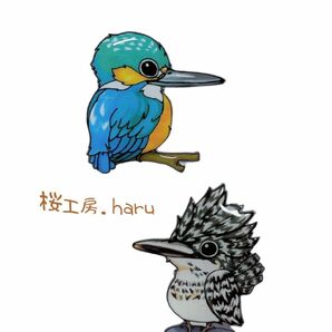 カワセミ＆ヤマセミ　セット、野鳥ピンバッジ