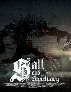 即決 Salt and Sanctuary *日本語対応*