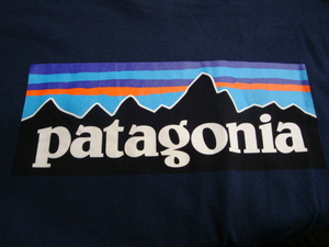 【USED】patagonia パタゴニア ロゴＴシャツ Ｌ