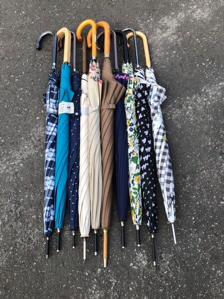 10本 大人用 雨傘 長傘 カサ バラ売り不可 紳士 メンズ レディース daks アーノルドパーマ SINKA