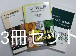 【3冊セット】インド 新書セット インド残酷物語 インドの正体 カーストとは何か 中公新書 集英社新書 世界史 パキスタン 中国