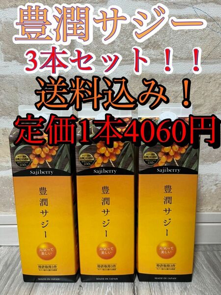 48時間以内発送！ 豊潤サジー ３本セット サジードリンク フィネス サジー