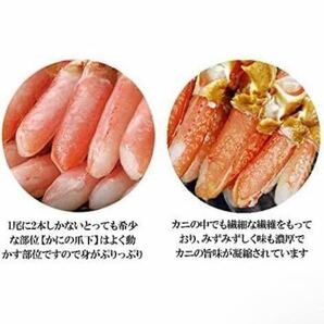 爪下ポーション カニ ズワイガニ 本ズワイガニ カニ刺し お鍋 しゃぶしゃぶ 家族で おくりもの お取り寄せ 本ずわいがに 500g◯の画像4