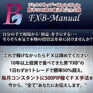 FXB-Manual 2014〈PDF72p/動画46/特典付〉+ FXB-Manual 熱血編〈前編・後編動画/Q&A動画〉フルセット 