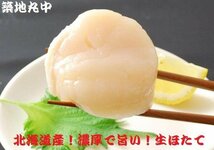 築地丸中　大特価！ ホタテ貝柱（お刺身用）北海道産1ｋｇ！（特A) ほたて 帆立 ホタテ_画像1