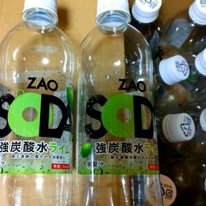 ZAO SODA ライム 空ペットボトル 48本 強炭酸水 炭酸水 ボトル ペットボトル 500ml まとめ diy 