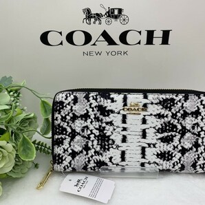 コーチ COACH 長財布 財布 レディース メンズ プレゼント 贈り物 ラウンドファスナー ロング ジップ 新品未使用 ファッション F53659 C183の画像1