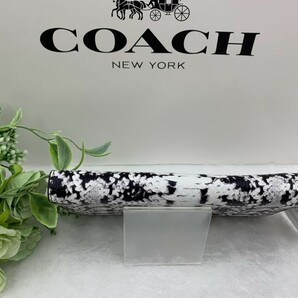 コーチ COACH 長財布 財布 レディース メンズ プレゼント 贈り物 ラウンドファスナー ロング ジップ 新品未使用 ファッション F53659 C183の画像7