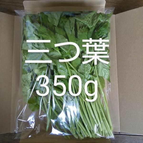 三つ葉 約350g 新鮮 天然物　農薬不使用