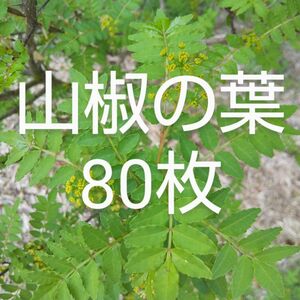 山椒の葉 80枚 新鮮 農薬不使用　天然物