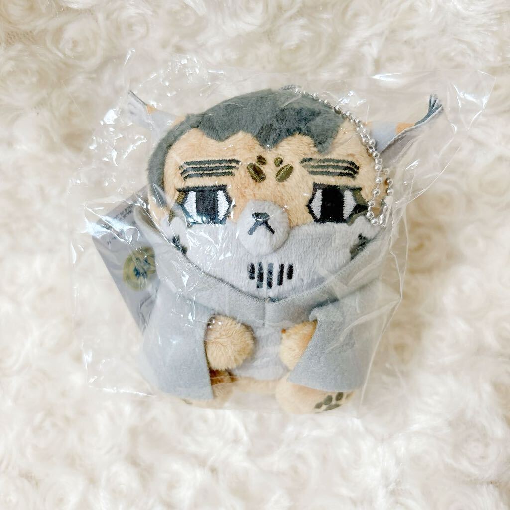 2025年最新】Yahoo!オークション -どうぶつフォーゼ 尾形の中古