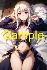 TRT122 イリヤスフィール・フォン・アインツベルン Fate stay night 同人 ポスターA4 コスプレ 高品質 イラスト アートポスター アニメ