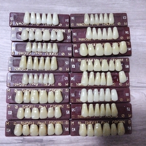  tooth .... artificial tooth difference . tooth . tooth large amount set summarize model resin tooth custom doll dentistry 