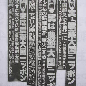 訳あり2023年国産無農薬の落花生種子20g令和5年国産ラッカセイ大粒らっかせい種子20グラム遺伝子組み換え無し落花生の種の画像5