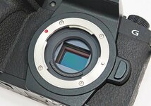 ◇美品【Panasonic パナソニック】LUMIX ボディ DC-G99 ミラーレス一眼カメラ_画像4