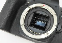 ◇美品【Canon キヤノン】EOS 9000D EF-S 18-135 IS USM レンズキット 予備バッテリー付き デジタル一眼カメラ_画像5