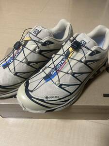 【SALOMON】XT-6 GTX 27.5センチ