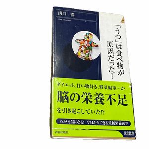 「うつ」は食べ物が原因だった　溝口徹　脳の栄養不足　心が元気になる