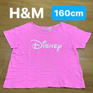 【H&M】(USED)Disney ロゴ ピンク プリント 半袖Tシャツ ディズニー 158/164